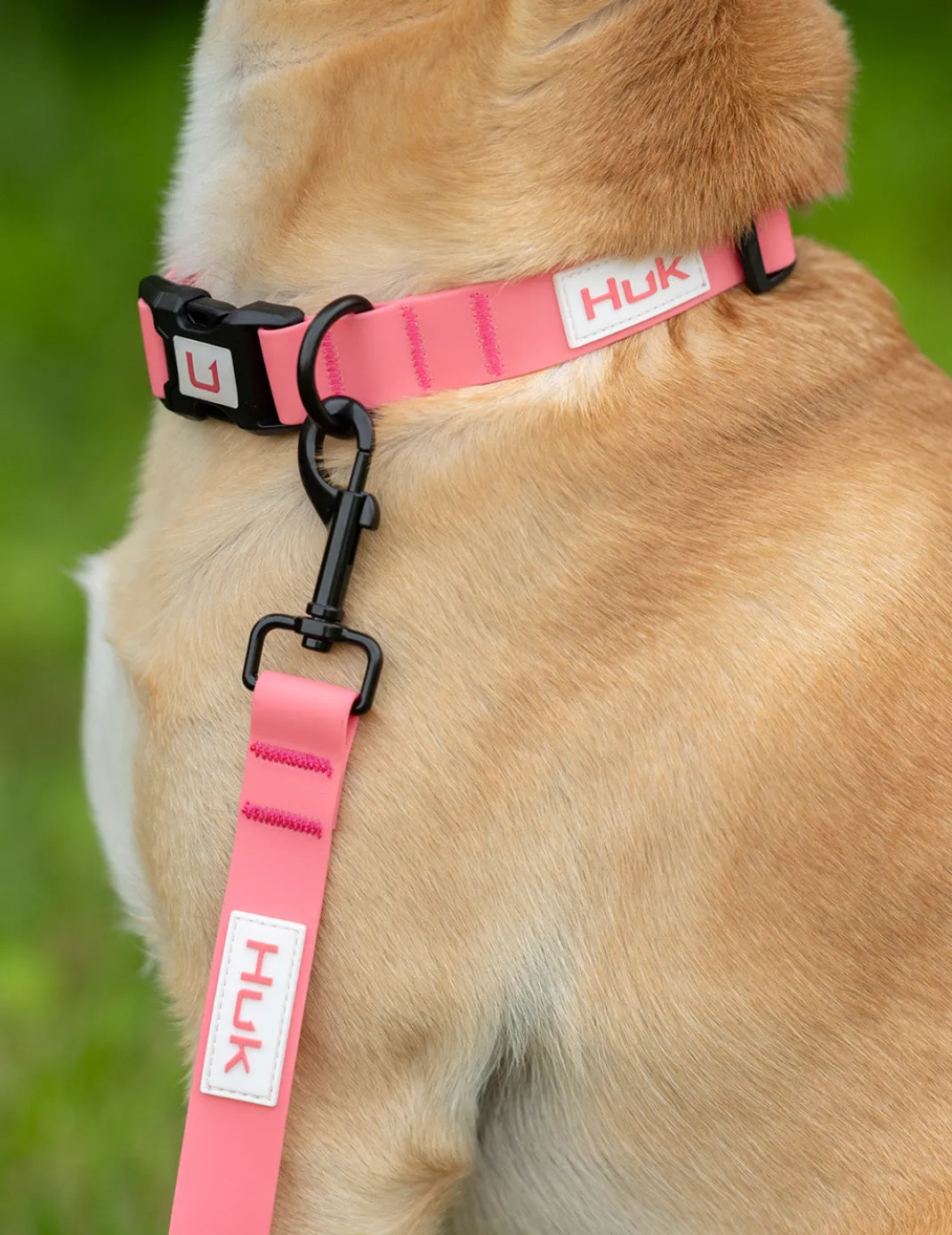 Waterproof Dog Leash